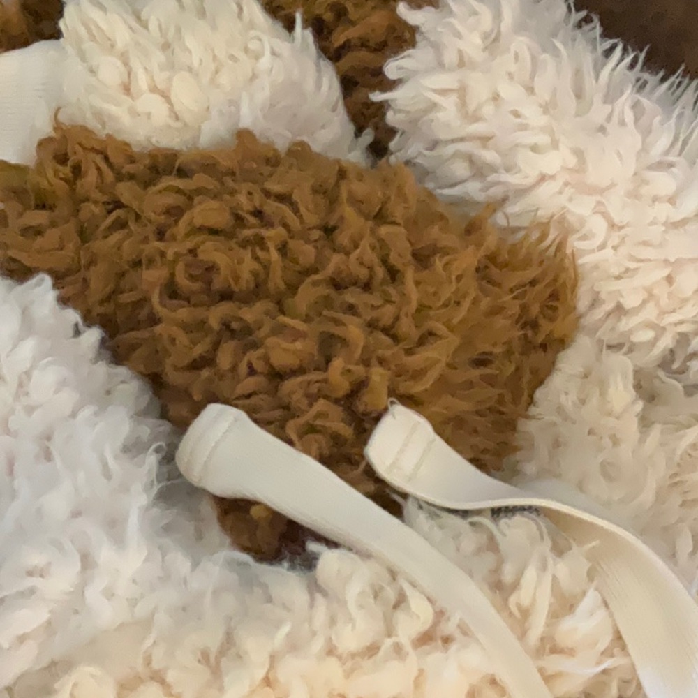 Cozy Brown and Cream Fuzzy Tote Bag